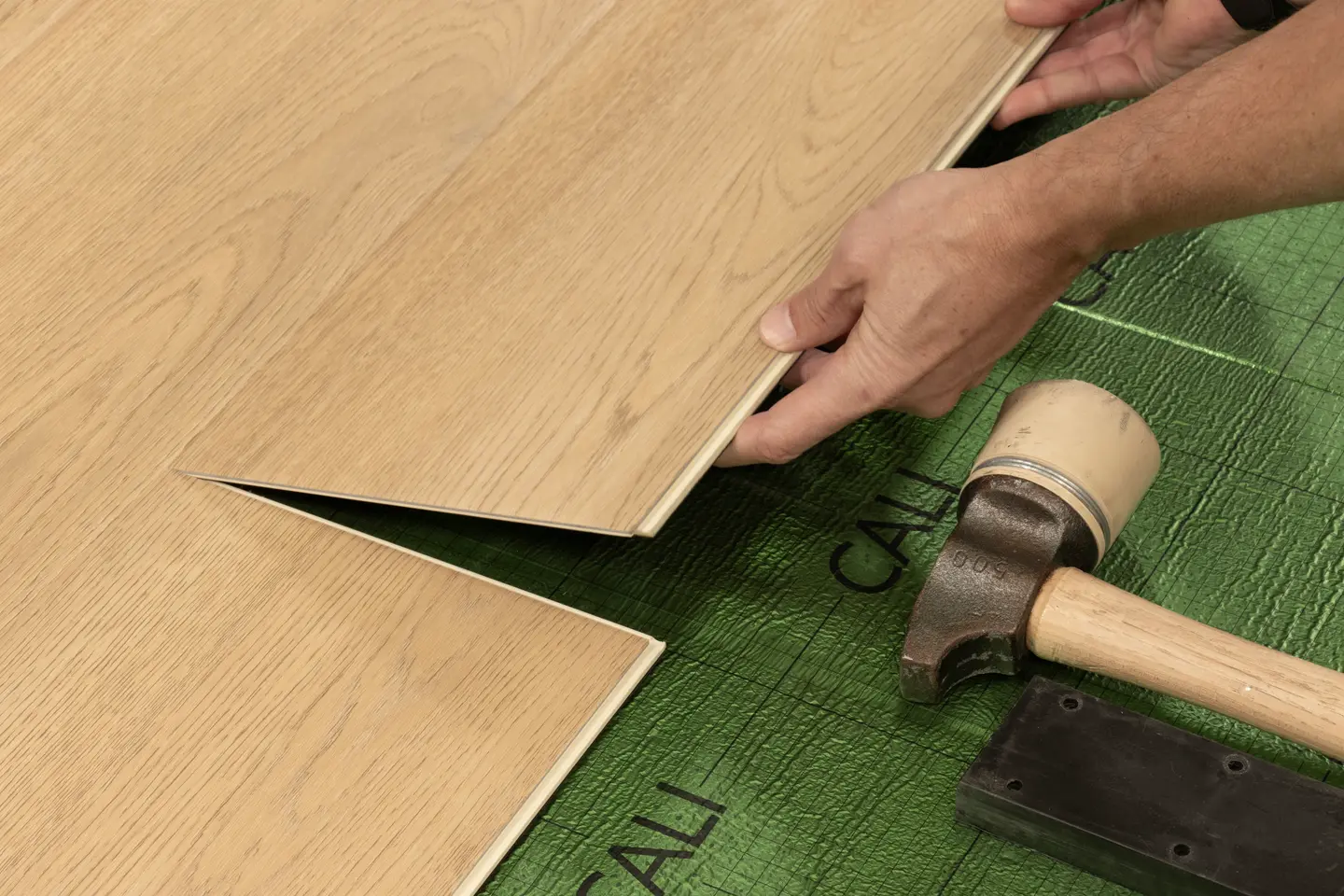 Paradise Fawn view 4